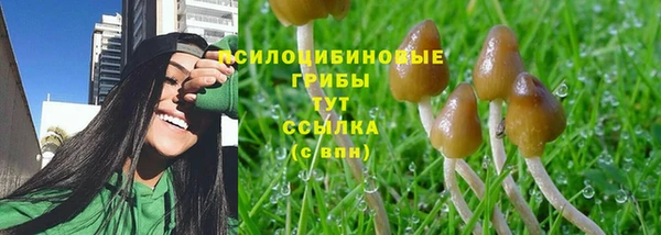 первитин Кукмор