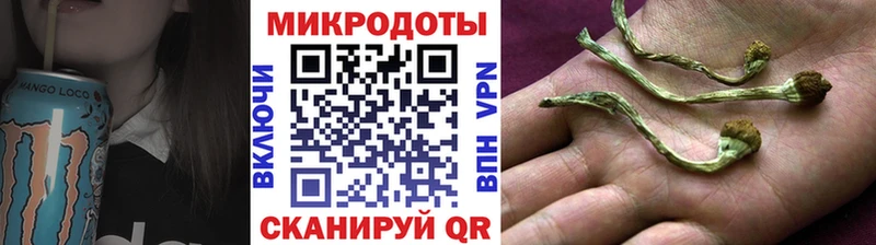 Купить закладки  Елабуга  Псилоцибиновые грибы MAGIC MUSHROOMS 